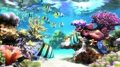 Sim Aquarium - Screensaver & Live Wallpaper - SimAquarium.com