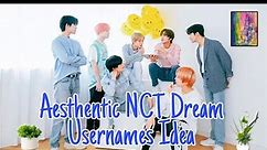 Aesthetic Nct Dream Usernames Idea