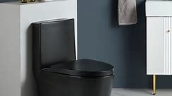 ABRUZZO One-Piece Toilet, 1.1/1.60 GPF Water-Efficient Dual-Flush Elongated Comfort Height Floor Mounted, Standard-Size Toilet with Soft Closing Seat Included, 23T01-Matte Black