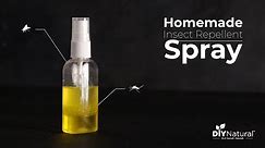 Homemade DIY Mosquito Repellent Spray That Works | DIY Natural
