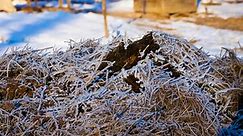 Ultimate Guide to Winter Composting (10 PROVEN Tips)
