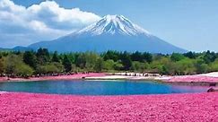 The end of Apr to May is the... - Wow Japan! Club Tourism