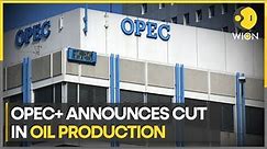 OPEC + to cut oil production by one million barrels per day | World Business Watch