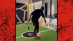 Paul Pogba skillshow in his indoor arena