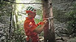 Making an anchor on a tree. Surgeons Knot