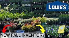 🌺 LOWE’ S FALL INVENTORY | PERENNIALS | EVERGREEN TREES SHRUBS | FRUIT TREES #LOWES