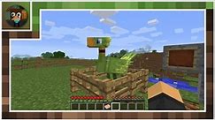 Try To Tame A Chocobo (MOD) - Minecraft