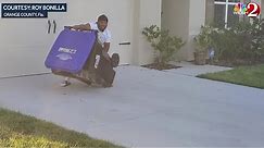 Gator garbage can capture: Florida man uses trash can to capture alligator