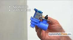 How To Replace: LG/Kenmore Refrigerator Water Inlet Valve MJX41178908