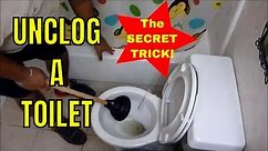 HOW TO UNCLOG A TOILET with a PLUNGER (How to Use a Plunger Like a Champ!)