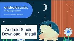 how To Download and Install Android Studio in 2023 | Android Studio Hedgehog | Windows 10, 11