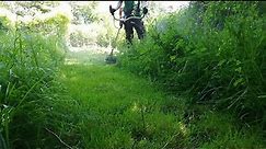 OVERGROWN Grass Clearing Work with a STIHL String Trimmer