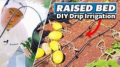How to Install Drip Irrigation for Raised Beds (Complete DIY System Guide)