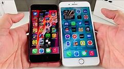 iPhone SE 2020 vs iPhone 7 Plus: Full Comparison Review (2021)