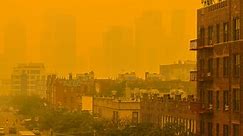 Health concerns from hazardous air quality