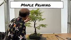 Pruning Strong Maples