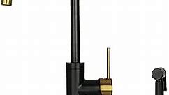 One-Handle Standard Kitchen Faucet with Side Spray - Five Years Warranty-Akicon (Matte Black and Brushed Gold)