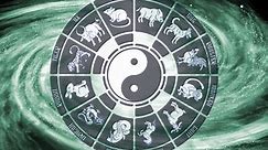 Yin and Yang Chinese Astrology: What signs are compatible in the zodiac?