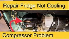 Repair GE Fridge Not Cooling. Fridge Compressor.