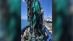 Environmentalists remove tons of plastic in Pacific Ocean