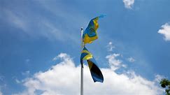 Flag, Swedish, Boat, Sea