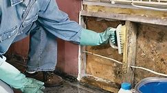 Mold Remediation: How to Remove Mold
