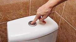 9 Types of Toilet Flush Systems: Pros and Cons