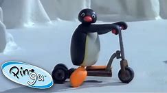 Pingu and the New Scooter! Pingu Official 1 Hour Cartoons for Kids