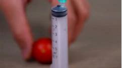 Tomato and Syringe Needle #macro #slowmotion #asmr | 糖哥棉花糖