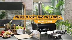 Pizzello Forte Gas 12 - Outdoor Pizza Oven Propane & Wood