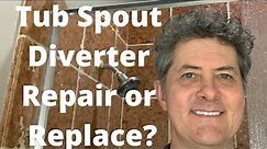 Tub Spout Diverter Repair or Replace?