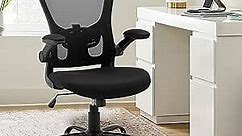 Office Chair Home Desk Chairs Computer Executive Task Chair with Lumbar Support 250LBS, Black