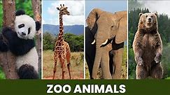 Zoo Animals- Name & Sounds Eps 73- Elephants, Panda, Bear, Giraffe, Deer, Camel, Tiger, Zebra, Bird