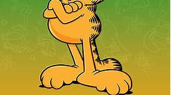Garfield and Friends: Season 5 Episode 8 Canvas Back Cat/The Creature That Lived in the Refrigerator