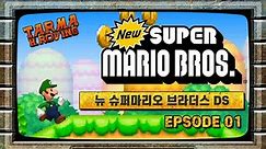 뉴 슈퍼마리오 브라더스 DS 월드1 루이지 New Super Mario Brothers DS World 1 Luigi