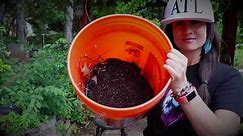 How to Make Your Own Bucket Compost at Home!