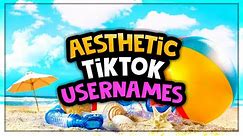 100+ Tik Tok Username Ideas Inspired by Different Subjects