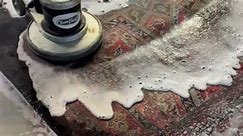 Professional Oriental Rug Cleaning -Silk, Wool, Viscose any material