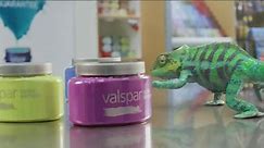 Valspar Signature TV Spot, 'Chameleons: It Says Blue'