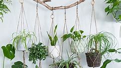 10 Stunning DIY Hanging Planters You Can Make To Liven Up Your Home - House Digest