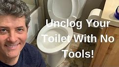 Unclog a Toilet Without a Plunger!