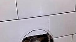 replacing a shower valve Delta Faucet #plumber #milwaukeetools #diabloblades #replacement #bathroom #medieval #weird #plumbing #galvanized #nycplumbing #unexpected #hydronyc #HydroNYC #response #plumbing #kitchen #compression #plumbing #plumbingtok #plumbingchronicles #hydronyc #animalhospital | Re plumb