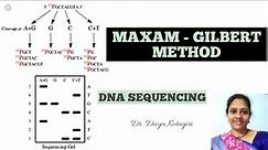 DNA sequencing# maxam-gilbert method# genes & genus