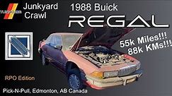 1988 Buick Regal Custom Coupe Junkyard Tour! So much rust, so few miles...