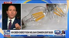 Raymond Arroyo slams Biden's light bulb restriction: 'It goes too far'
