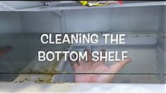SAMSUNG FRENCH DOOR FRIDGE: HOW TO CLEAN THE BOTTOM SHELF