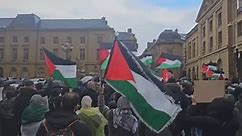 Pro-Palestinian demonstrators gather in France, call for ceasefire