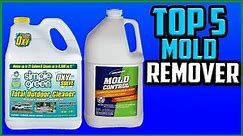 Top 5 Best Mold Removers Reviews in 2022