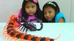 Innovation Scorpion and Giant Scolopendra Creepy Crawlers Toys