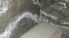 White Mold or Efflorescence | Wet block walls with white powder
